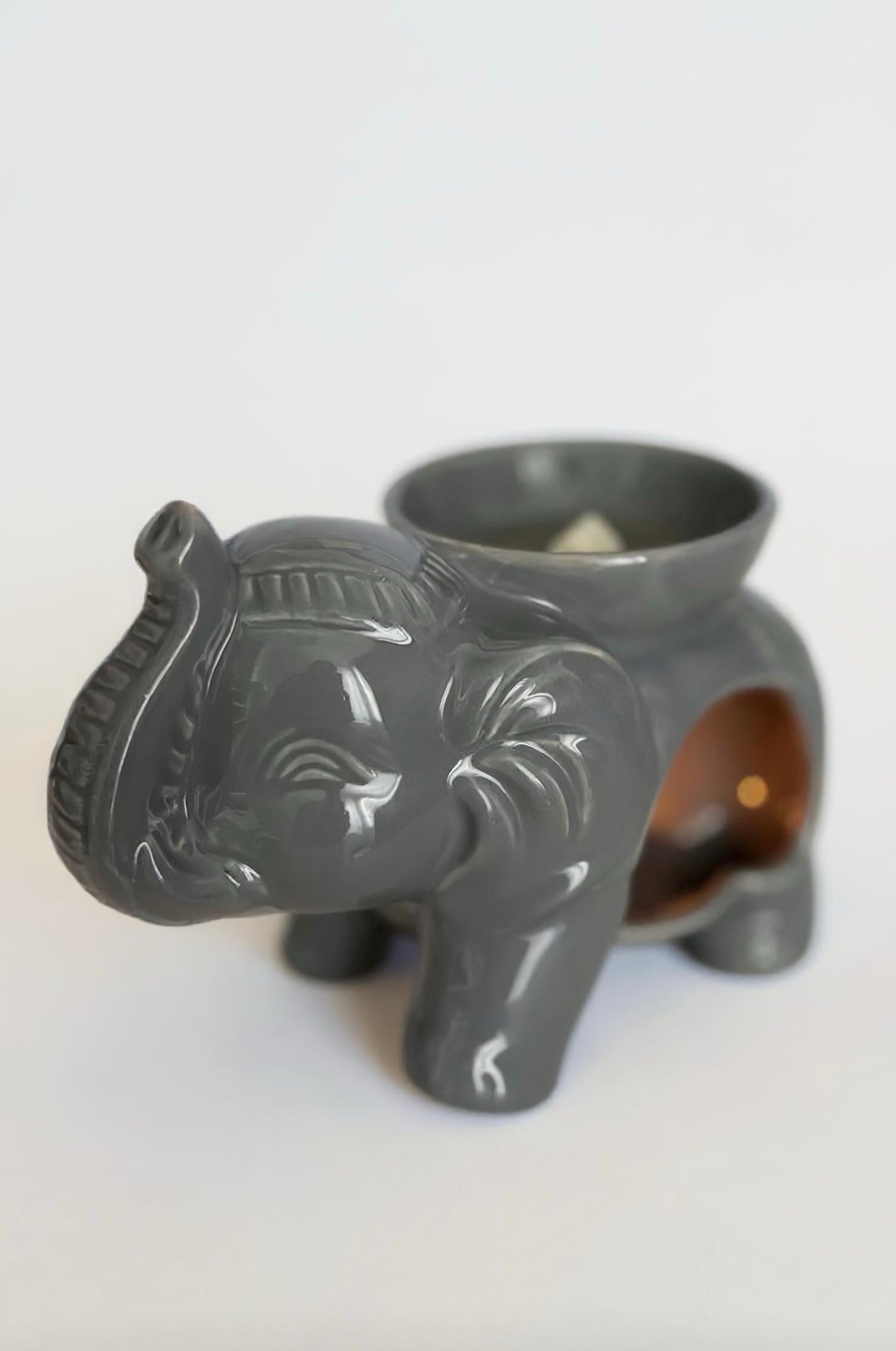 Pack brûleur éléphant/ Pack quemador elefante