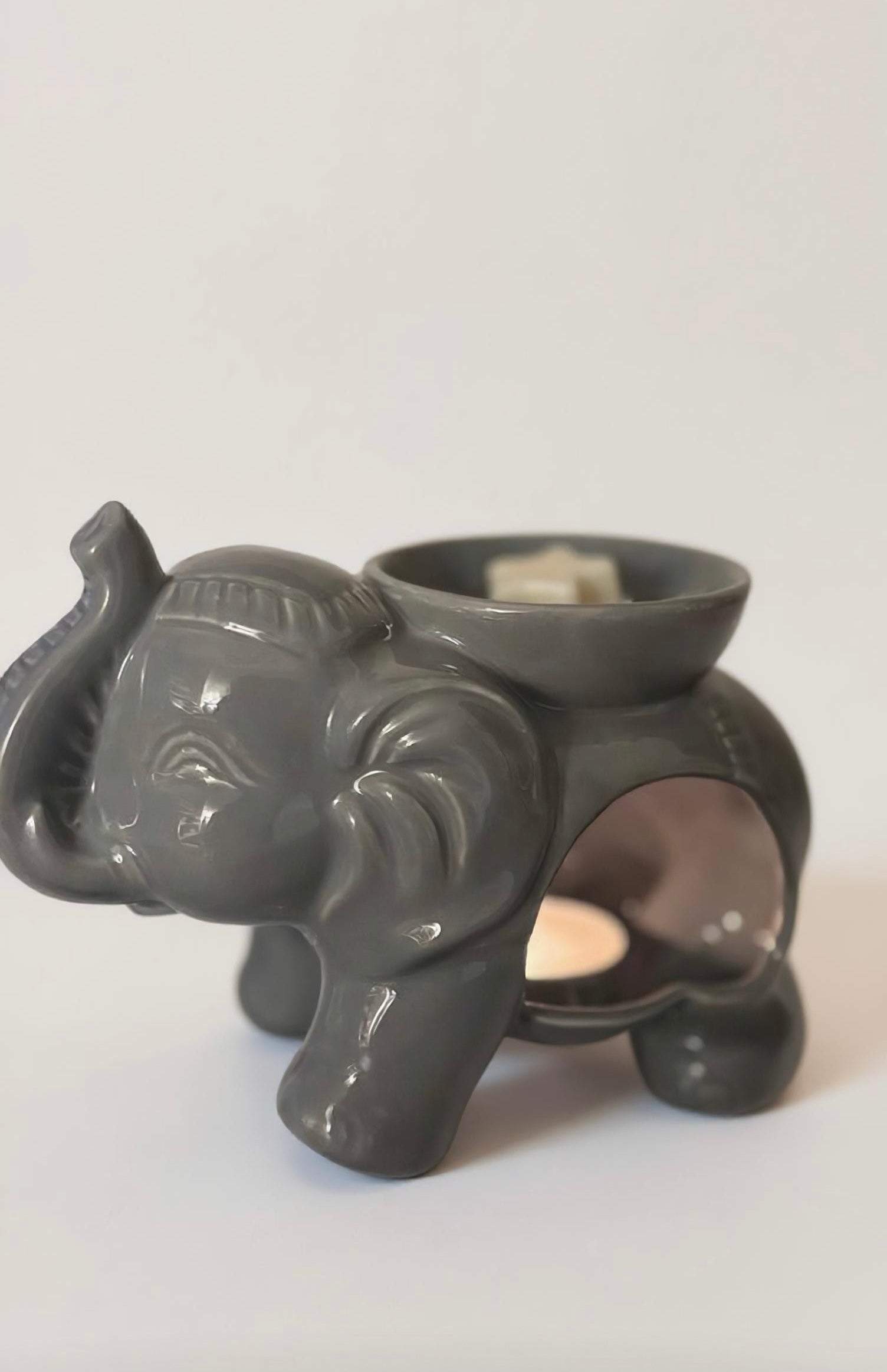Pack brûleur éléphant/ Pack quemador elefante