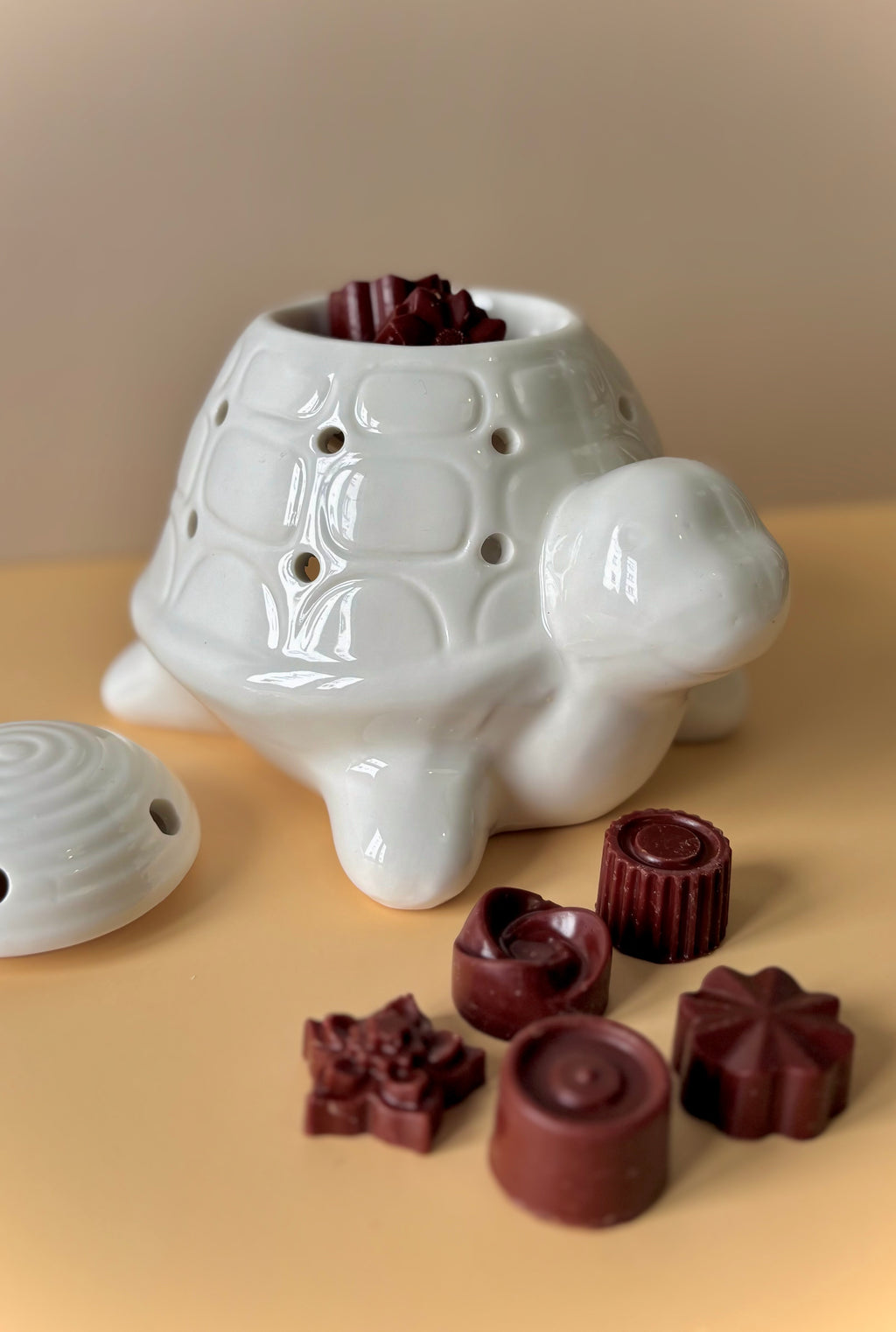 Brûleur Tortue / Quemador tortuga 🐢