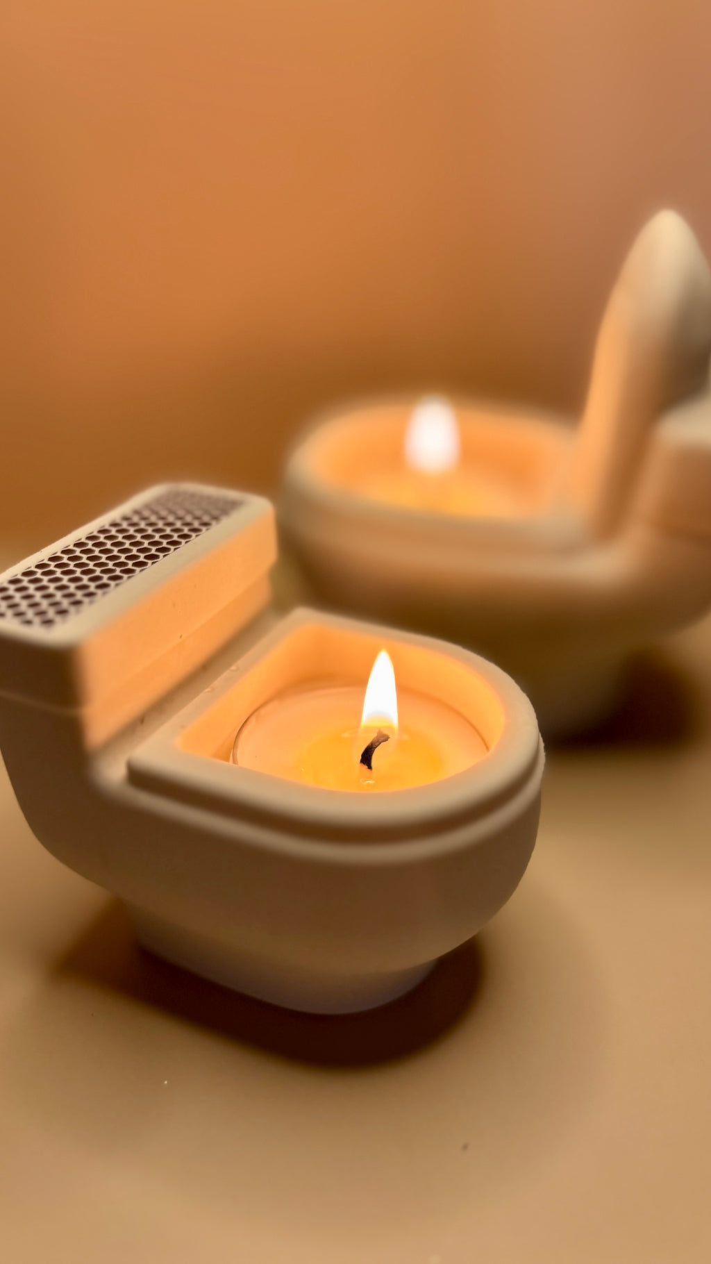 Inodoro decorativo / WC décoratif 🚽