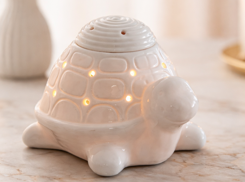 Brûleur Tortue / Quemador tortuga 🐢