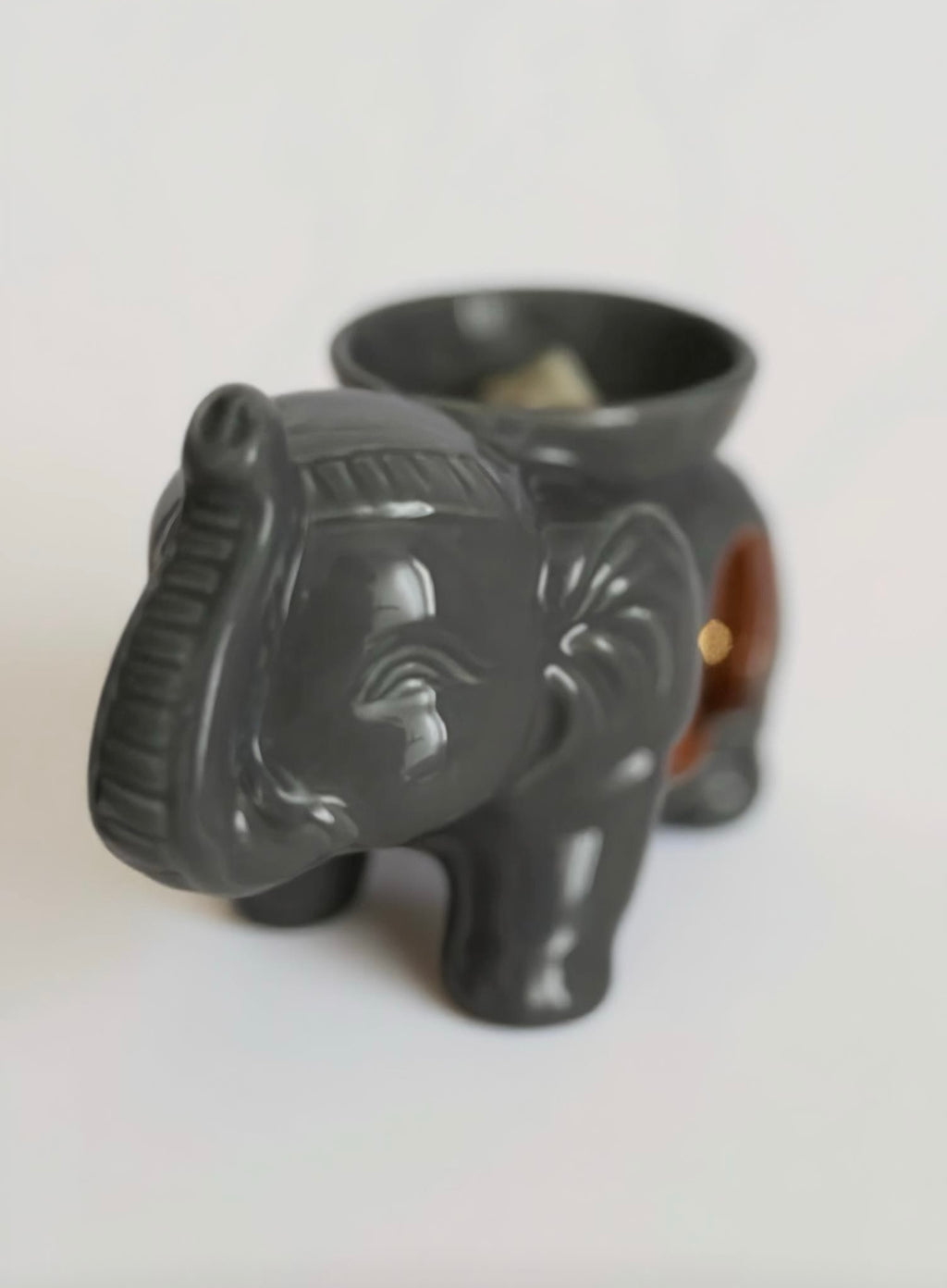 Pack brûleur éléphant/ Pack quemador elefante