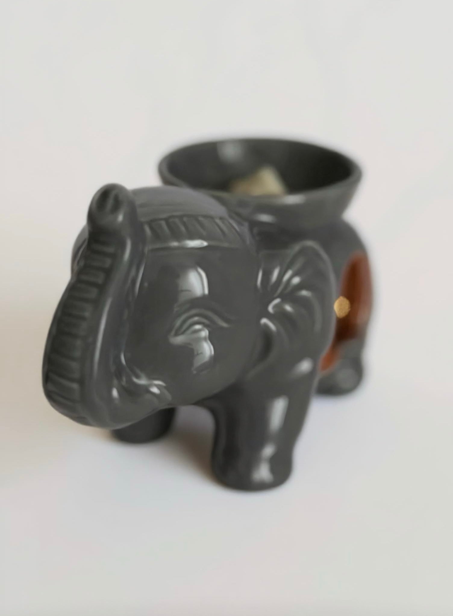 Pack brûleur éléphant/ Pack quemador elefante