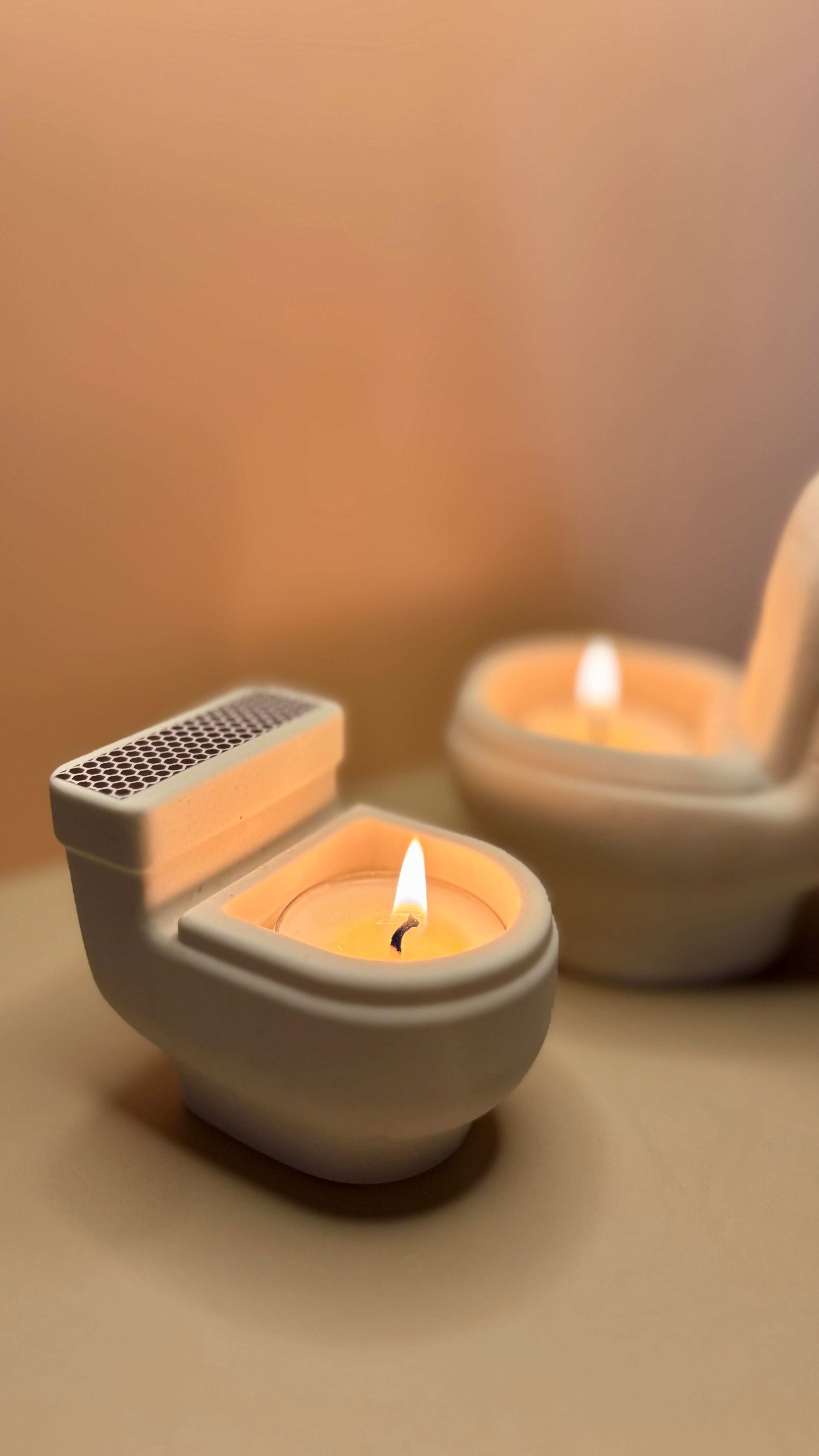 Inodoro decorativo / WC décoratif 🚽