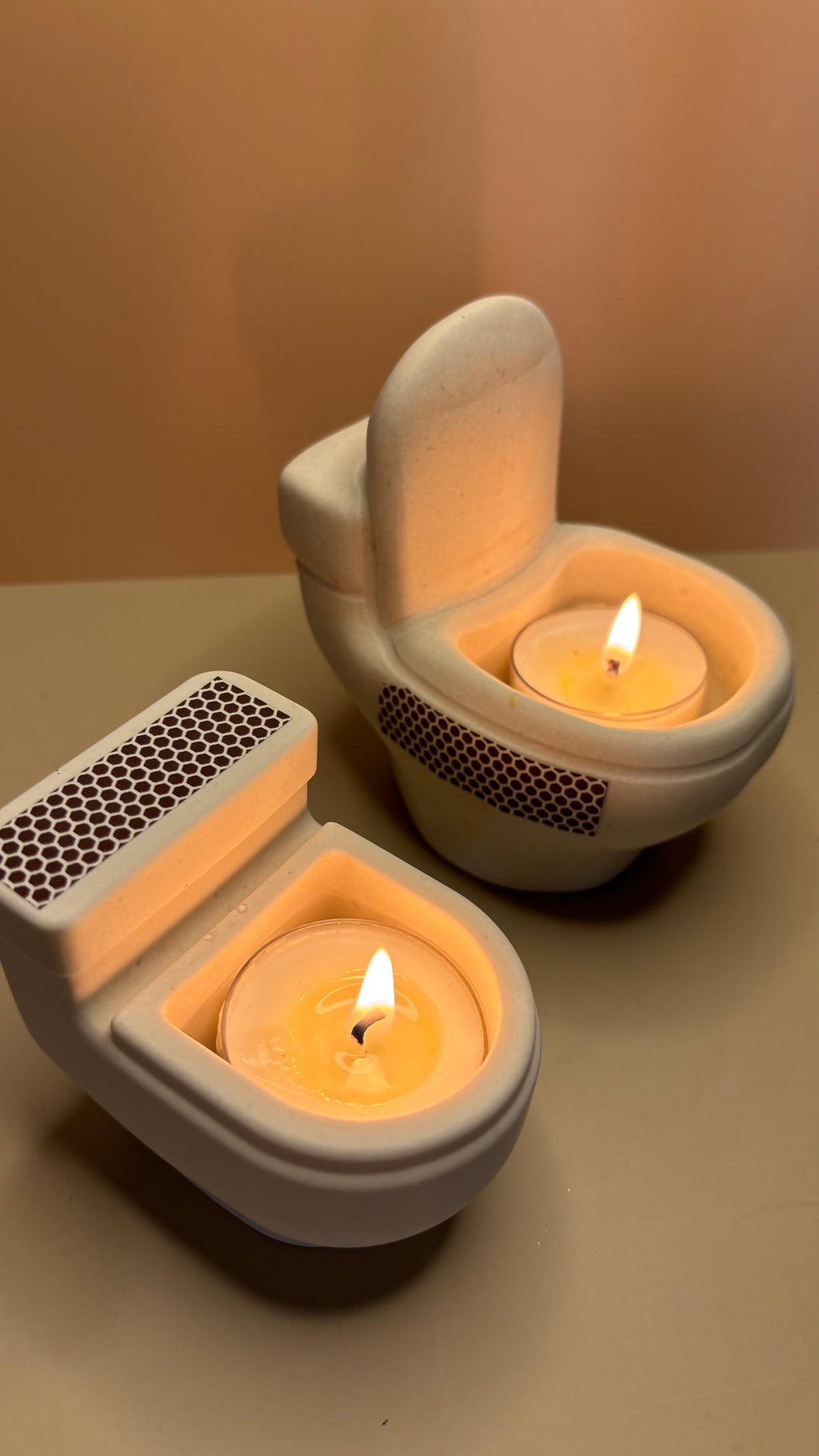 Inodoro decorativo / WC décoratif 🚽