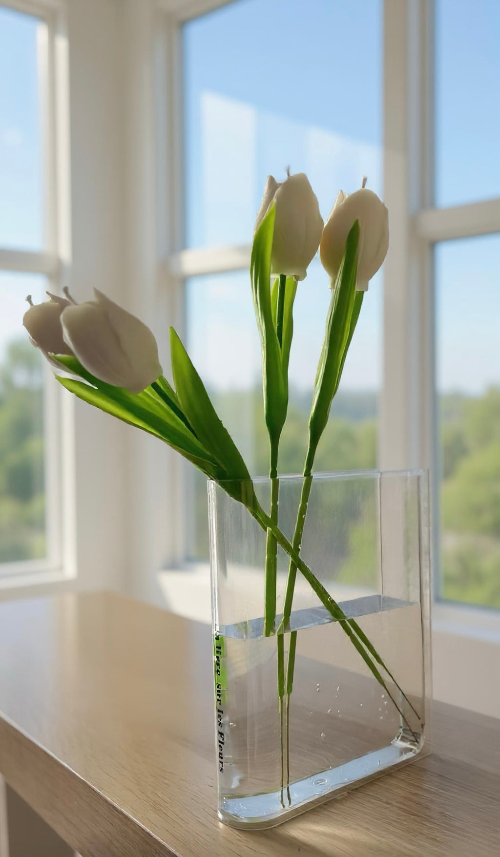 Bougie tulipe / Vela tulipán