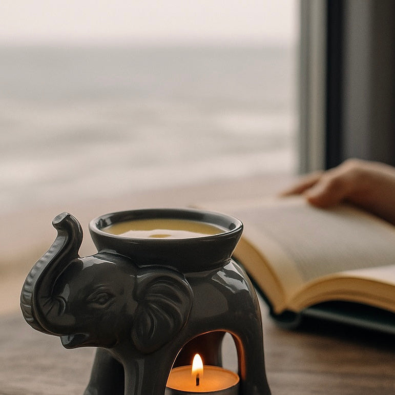 Pack brûleur éléphant/ Pack quemador elefante