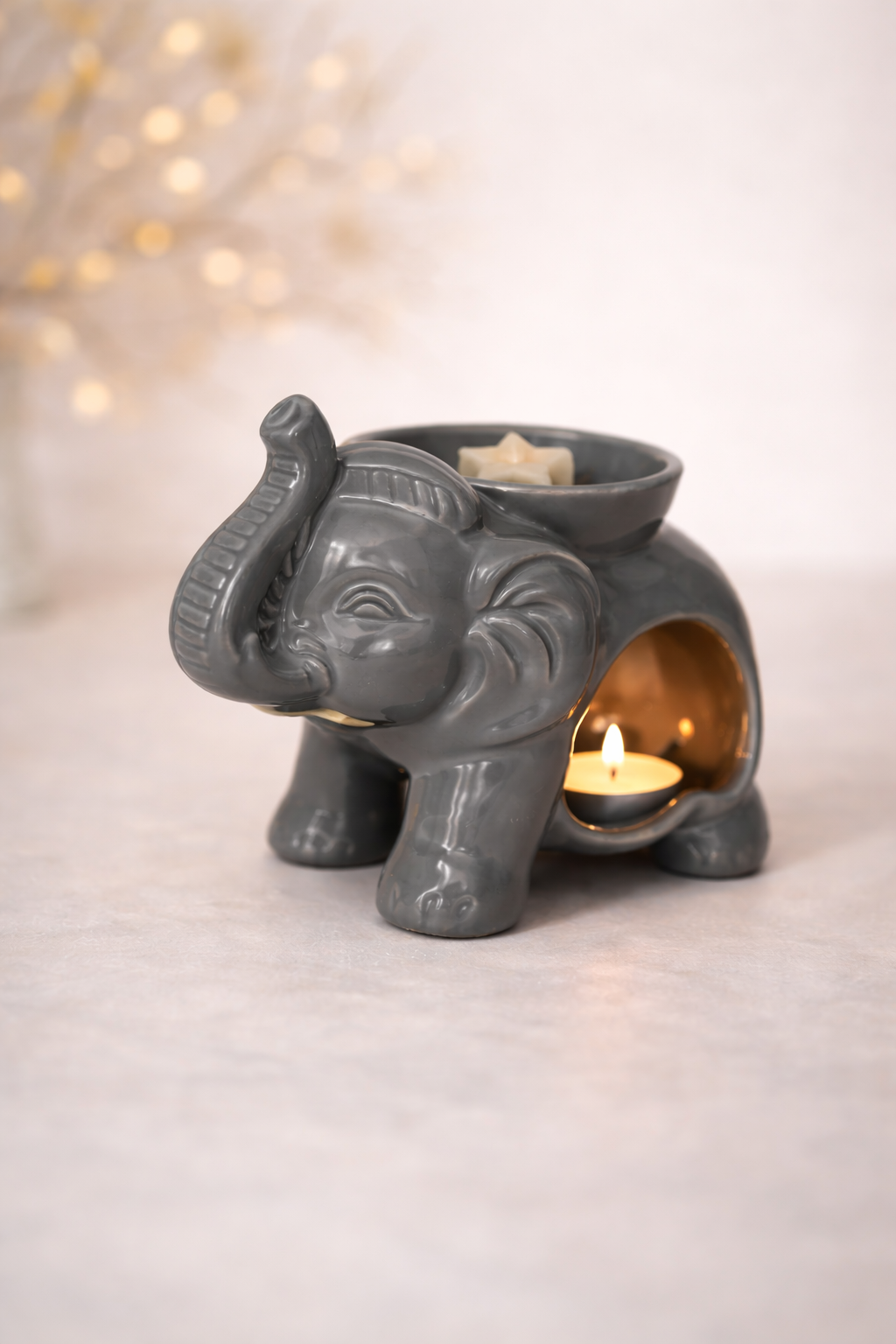 Pack brûleur éléphant/ Pack quemador elefante