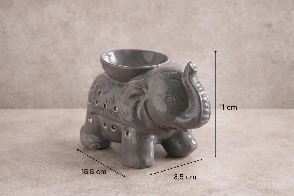 Pack brûleur éléphant/ Pack quemador elefante