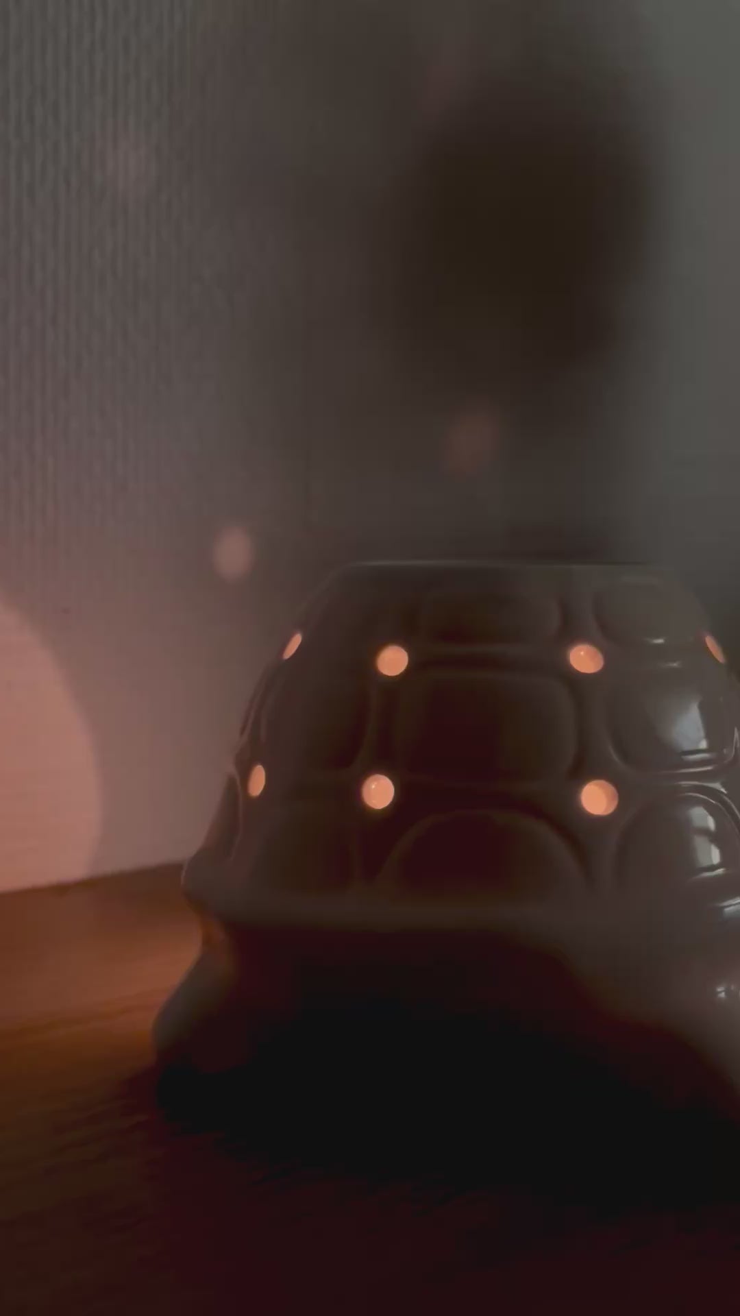 Brûleur Tortue / Quemador tortuga 🐢